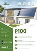 EN-P100-datasheet-V1.1 EN-P100-datasheet-V1.1